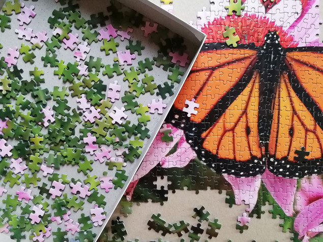 Puzzle Tactic 1000 el. Monarch Butterfly - Motyl Monarcha, Fińska Jakość