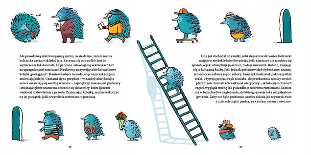 Amory Zaloty i Podboje W Świecie Przyrody Szymon Drobniak 8+ BabaRyba