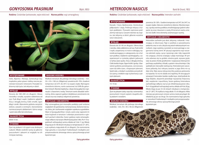 Atlas WĘŻY HODOWLANYCH 100 Gatunków Angelika Dawidowicz SBM