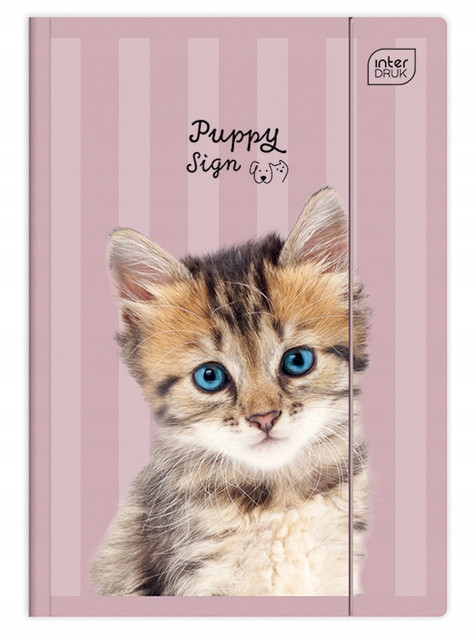 Teczka Z Gumką A4+ Lux UV Puppy Sign Interdruk Zwierzęta