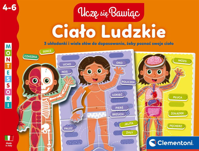 Gra Planszowa Clementoni Uczę Się Bawiąc: Ciało Ludzkie dla Dzieci 4-6 lat