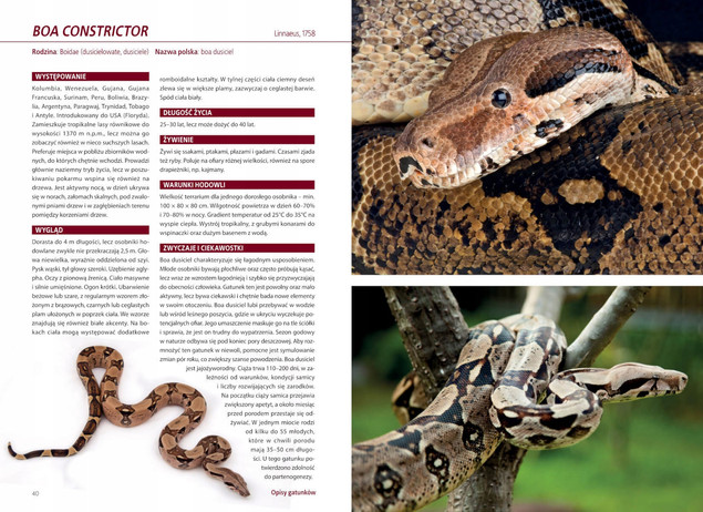 Atlas WĘŻY HODOWLANYCH 100 Gatunków Angelika Dawidowicz SBM