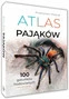 PAJĄKI 100 GATUNKÓW