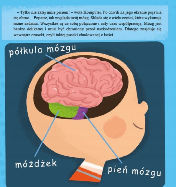 Mózg Wojciech Grajkowski
