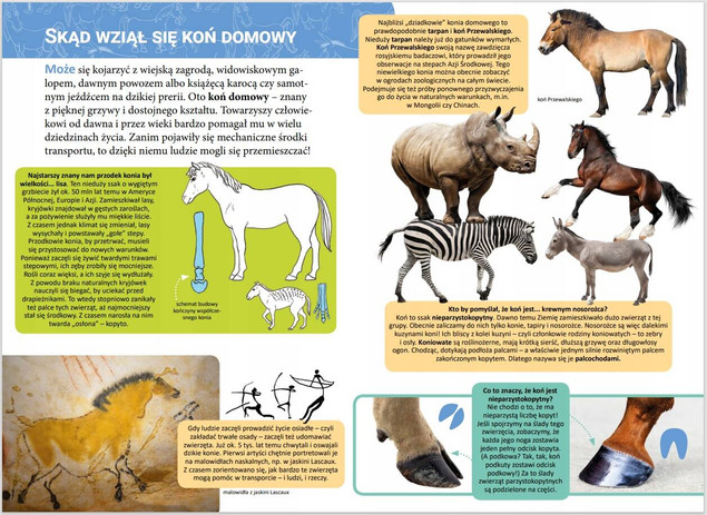 Mała encyklopedia. Konie