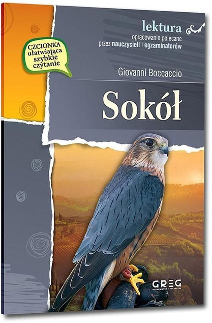 Sokół Giovanni Boccaccio lektury z opracowaniem