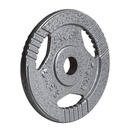TALERZ HAMMERTONE 2,5 KG