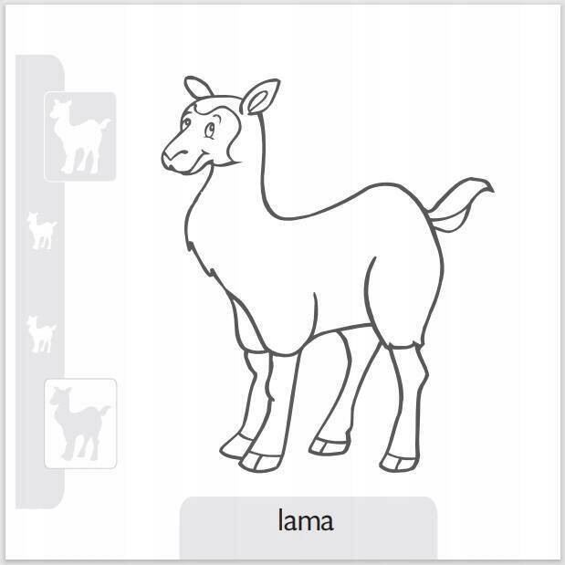 Pokoloruj zwierzaki w ZOO