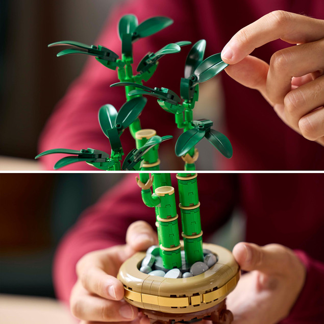 LEGO Botanicals 10344 Bambus Szczęścia – Model Dekoracyjny dla Dorosłych