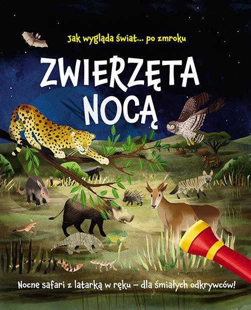 Jak wygląda świat po zmroku Zwierzęta nocą Lisa Regan