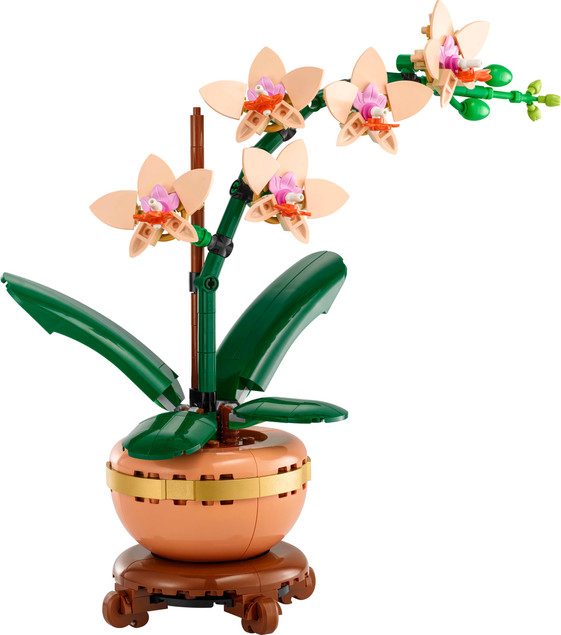 LEGO® Botanicals 10343 Miniaturowa Orchidea