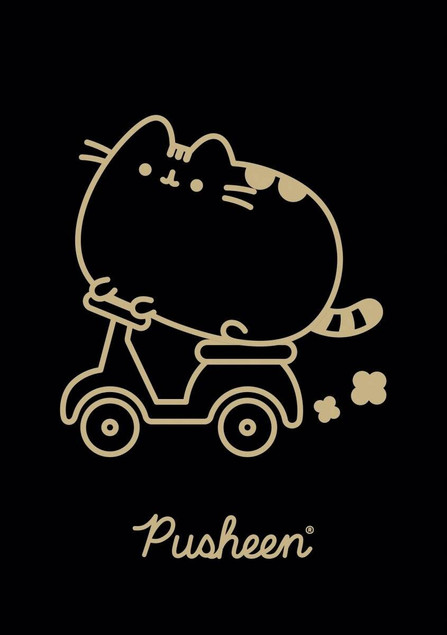Zestaw 4 zeszytów A5 w kratkę (margines) 60 kartek UNIPAP Pusheen