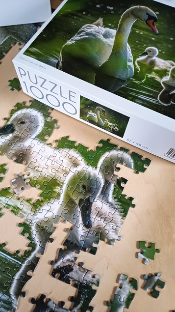 Puzzle 1000 TACTIC Lovers: Łabędź na Jeziorze z Dziećmi