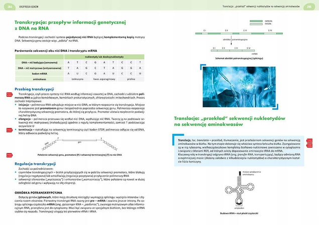 Nowa Matura 2024 Biologia Rozszerzona Liceum/Technikum Repetytorium Greg