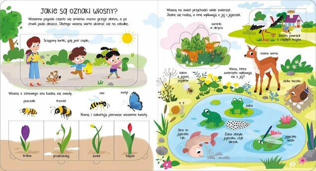 Co i jak? Otwórz okienka! Przyroda – Edukacyjna książka z okienkami Aksjomat