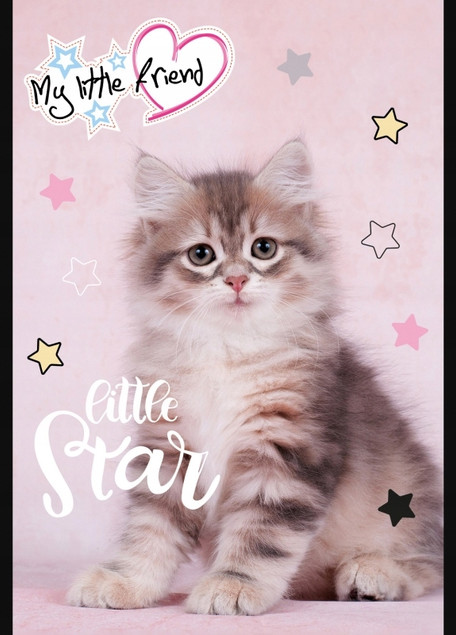 Zestaw upominkowy: kredki, farby i zeszyty. My Little Friends | St. Majewski