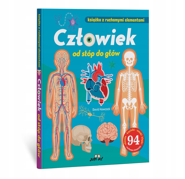 Człowiek od stóp do głów. Książka z ruchomymi elementami David Hawcock