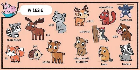 Maniek. 100 Zwierząt Agnieszka Matz. Sztywnostronicowa Książka Edukacyjna
