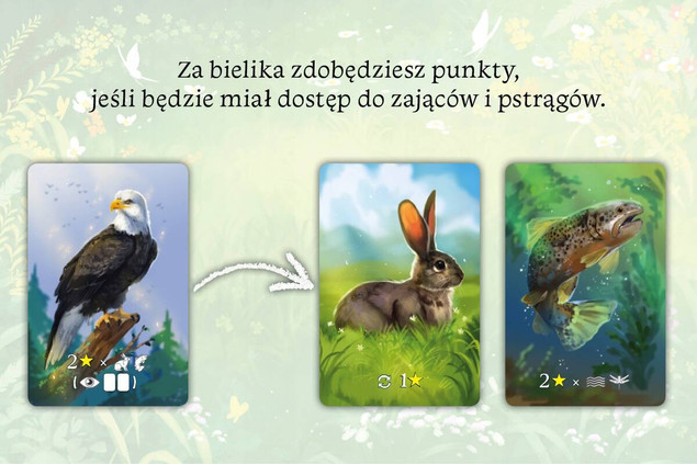 Ekosystem Gra Planszowa Przygodowa Tworzenie Krainy 8+ Nasza Księgarnia