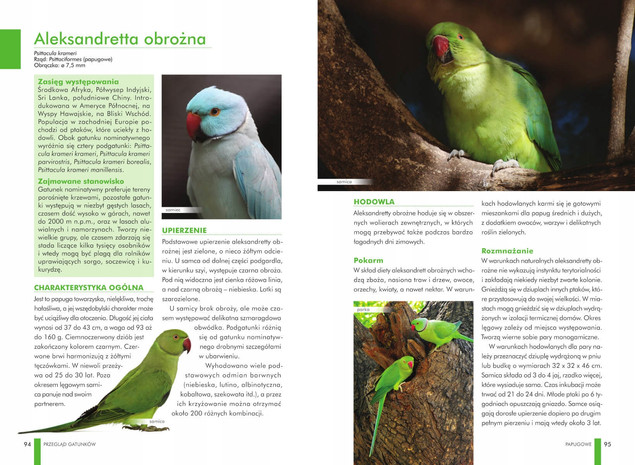 Atlas Ptaków Ozdobnych Ponad 80 Gatunków Manfred Uglorz SBM