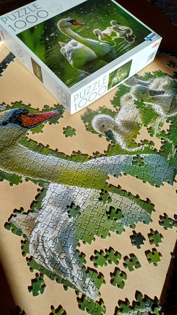 Puzzle 1000 TACTIC Lovers: Łabędź na Jeziorze z Dziećmi