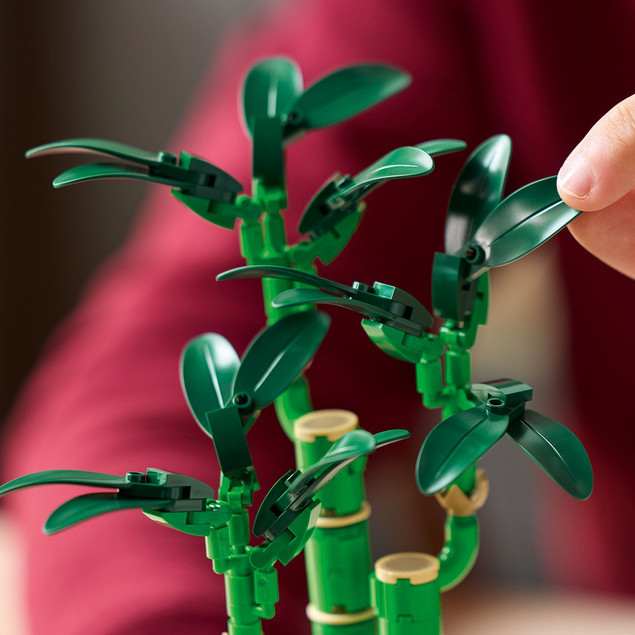 LEGO Botanicals 10344 Bambus Szczęścia – Model Dekoracyjny dla Dorosłych