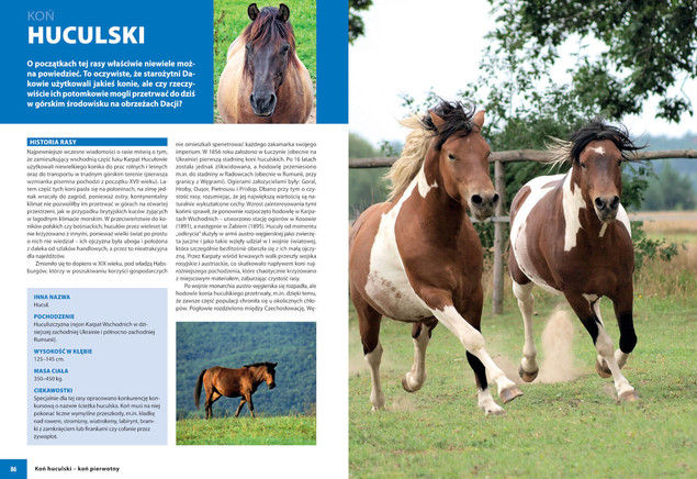 KONIE RASOWE Album Opisy Fotografie Patrycja Zarawska SBM