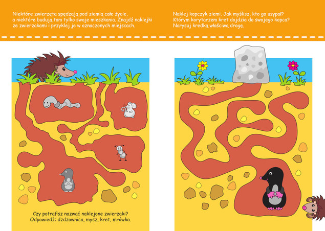Nowa akademia 3-latka. Zwierzęta