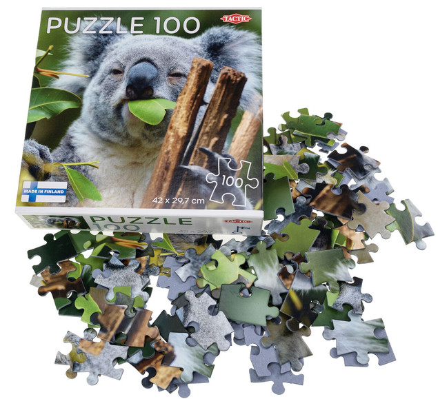 Tytuł
Puzzle 100 Tactic Koala at Lone Pine
