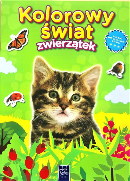 Kolorowy świat zwierzątek. Kotek Praca zbiorowa