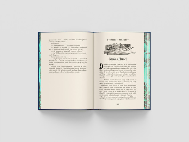 Harry Potter i Kamień Filozoficzny edycja limitowana J.K. Rowling