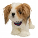 Uroczy Pluszowy Piesek Shih Tzu Maskotka Miękka Zabawka