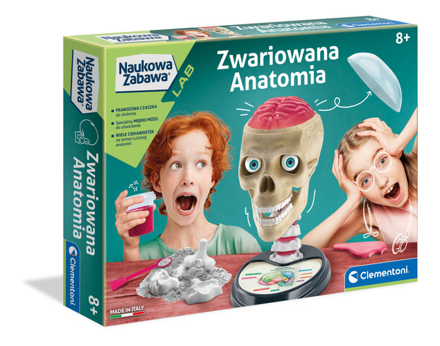Zestaw Anatomia Czaszka i Mózg – Clementoni