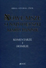 Nowe Msze o Najświętszej Maryi Pannie. Komentarze i homilie Antoni Paciorek, Henryk Witczyk