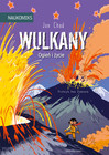 Wulkany. Ogień i Życie. Naukomiks Jon Chad | Komiks o Geologii dla Dzieci