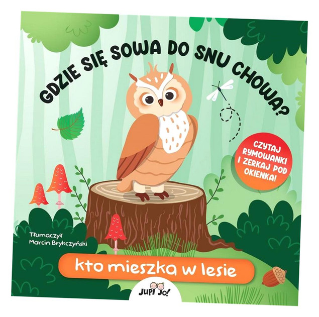 Gdzie się sowa do snu chowa? Kto mieszka w lesie Fiona Huisman
