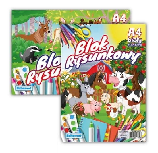 BLOK RYSUNKOWY SZKOLNY FORMAT A4 20 BIAŁYCH KARTEK DO RYSOWANIA SCHEMAT