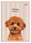 Teczka Z Gumką A4+ Lux UV Puppy Sign Interdruk Zwierzęta