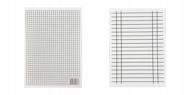 Liniuszek A5 kratka/linia Interdruk