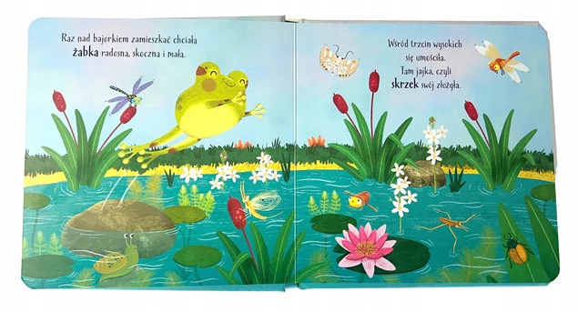 Ilustracja z książki Mój świat żabka - żabka na liściu