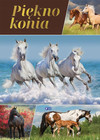 Piękno konia Praca zbiorowa