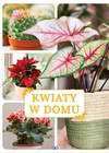 Kwiaty w domu Praca zbiorowa
