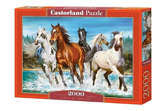 2000EL KONIE W BIEGU