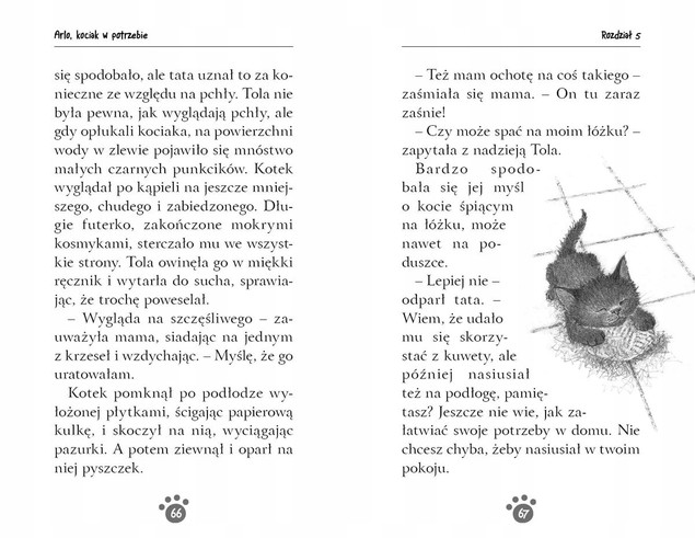 Zaopiekuj się mną. Arlo, Kociak w Potrzebie - Holly Webb | Zielona Sowa