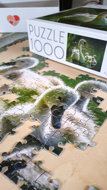 Puzzle 1000 TACTIC Lovers: Łabędź na Jeziorze z Dziećmi