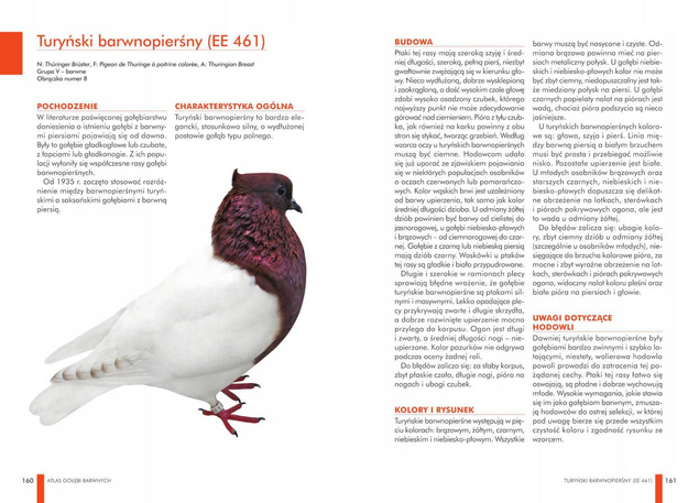 Atlas Gołębi BARWNYCH 85 Pięknie Ubarwionych Ras Manfred Uglorz TW SBM