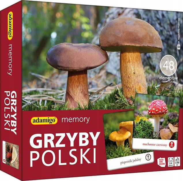 MEMORY GRZYBY