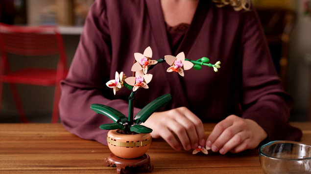 LEGO® Botanicals 10343 Miniaturowa Orchidea