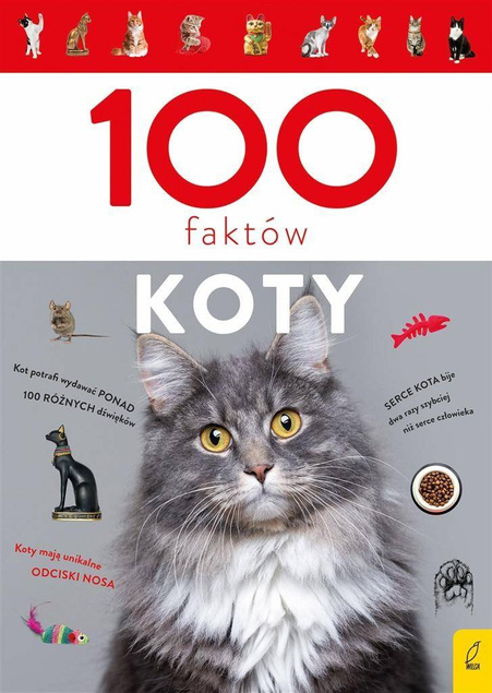 100 faktów. Koty