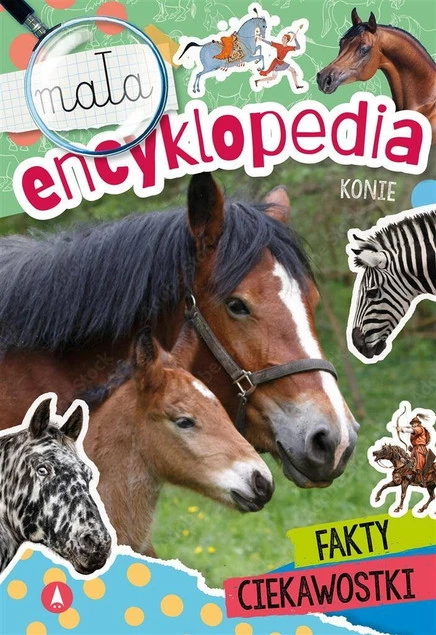 NAUKA CZYTANIA PISANIA ELEMENTARZ MAŁA ENCYKLOPEDIA